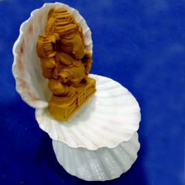 Shell Ganesha(Big size)